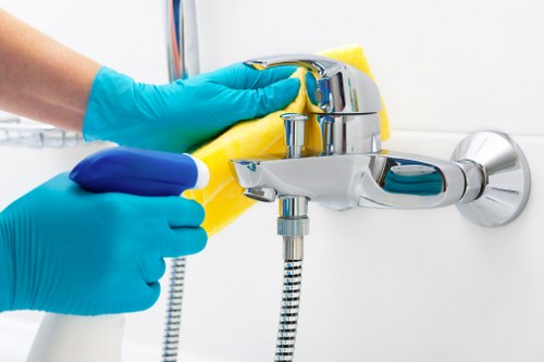 Upholstery cleaning for pet stains and odours in Acton