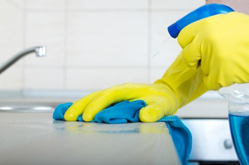 Professional cleaning equipment and treatment products ready for use